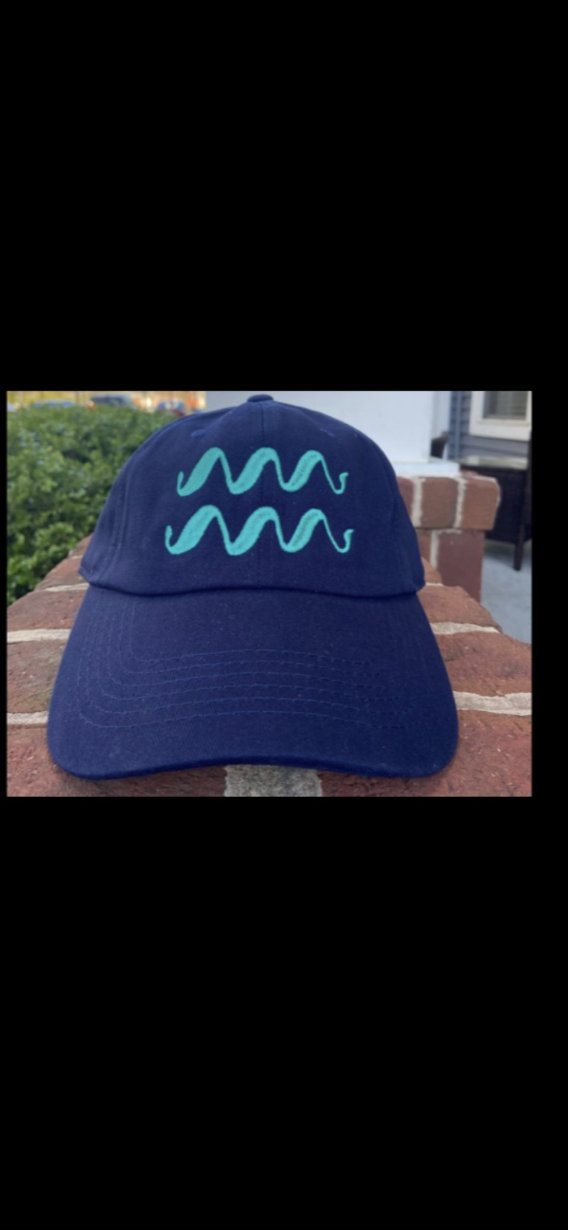 Dad Hat Blue – Waterlife